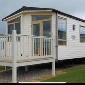 Stellas Dream Cayton